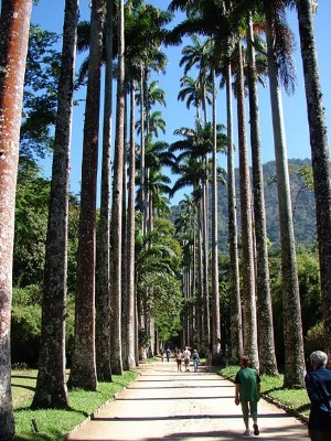 jardim-botanico-do-rio-de-janeiro-5_01.jpg